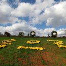 국화황토공원 이미지