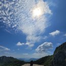 미리 가보는 팔영산(608. 6m) 다도해상 국립공원 산행 이미지