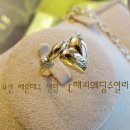 샤론패션