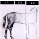 일반행정사 회의필 사무소 | [법무사 일상] 개업 4개월차 법무사 근황 (법무사 장단점, 매출, 자격사 협업, AI 활용법, 강의 듣고...