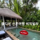 말리비치 이미지