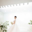 아젠토피오레컨벤션