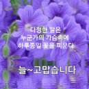 8월 15일 목요일 날씨정보 (입영 18일차) 이미지