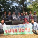 김철권농장 Daum카페