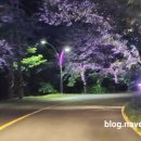 설악가든리조텔 이미지