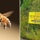 꿀벌태양광발전소 이미지