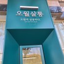 오월살롱 네이버블로그