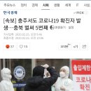 [속보] 충주서도 코로나19 확진자 발생…충북 벌써 5번째 이미지