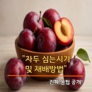 풍성농약사 이미지