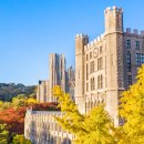 경희대학교 이미지