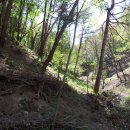 농장삼계탕 이미지