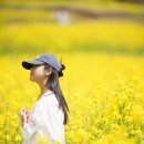 랑스 | 남해추천지 찾는다면, 가족여행으로 좋았던 남해 파라다랑스 후기