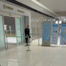 돌아기와 하와이 여행 비행기편 ✈️(feat. 대한항공 프레스티지 라운지, 수유실 및 탑승후기)🏝️