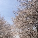 서울숲 생태숲 화장실 이미지