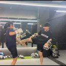 엑스퍼트짐 교대점 이미지