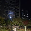 241108 화성 행림 아파트 갬블러 크루 공연