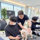 추건우애견미용학원 네이버블로그