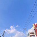 골드스타공인중개사사무소 이미지