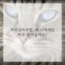 구원환경