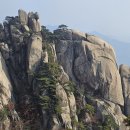 에덴동산 이미지