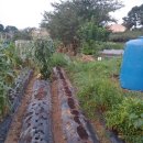 꼬망세어린이집 이미지