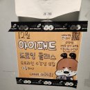 몬앤무트프렌즈 | 나에게~ 도움을 주는 아이패드 드로잉 스튜디오" 몬앤무트프랜즈 " 그 외 소품샵까지!! 이용 솔직 후기~