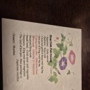 특별한-休 | 삿포로 빙설의문 킹크랩 코스 솔직후기 🦀 삿포로에서 킹크랩 어디서 먹을지 고민한다면