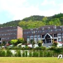 엘리트스포츠주