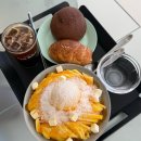 지니 노래연습장 | 안성 팜랜드 근처 카페 챗베이커 생망고빙수 솔직후기