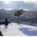 바우바우애견펜션 이미지