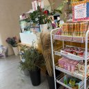 초록초록 가드닝 | 송도 가드닝 수업, 흙놀이 체험형 키즈카페 아뜰리에 더초록 방문 후기