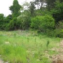 개척농장 이미지