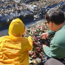 선화농장 이미지