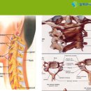 늘바른정형외과의원 이미지