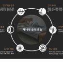 신비로-3 네이버블로그