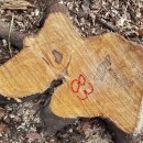 은평-083 이미지