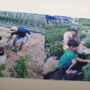 삼용농장 이미지