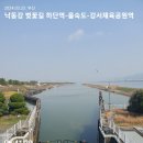 강서 낙동강둑 벚꽃길 하단역 - 을숙도 - 강서체육공원역 - 구포 수변공원9 20240323 이미지