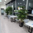 라현한방병원 이미지