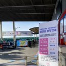 대천농장 | 대천) 스카이바이크 아기랑 레일바이크 후기, 근처 아기랑 가볼만한 곳 추천