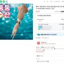 둥둥수산