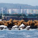 다시만날개 이미지