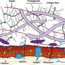제이(J)약국 이미지