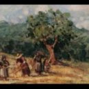 오렌지 꽃향기는 바람에 날리고 이미지