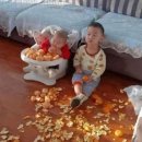 셜대학원