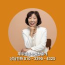 제주동네부동산중개 이미지