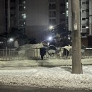 HY 원곡점 | 24년 11월 일상