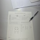 더퀸뷰티샵 | 문래동 슈가링 왁싱 잘하는 곳 더퀸뷰티라인