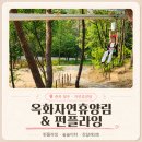 청주 옥화자연휴양림 숲속의집 진달래3호 후기｜펀플라잉(짚트랙)+숲놀이터+부루오까지 완전정복
