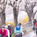 국토종주자전거길1-100 이미지